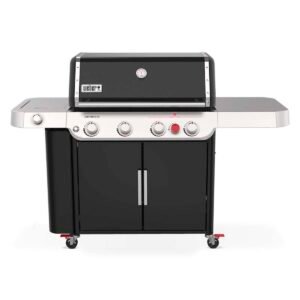 Barbacoa Genesis E-435