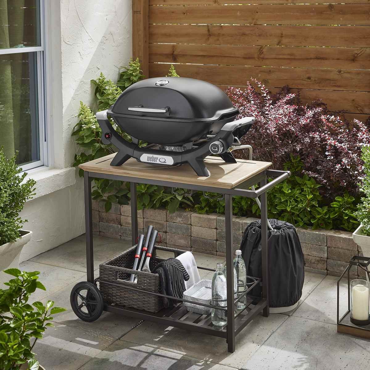 Q 2100N - BARBACOA DE GAS – imagen 5