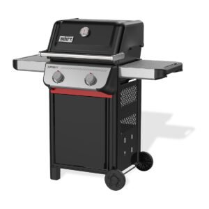 Spirit® E-210 - BARBACOA DE GAS – vista principal