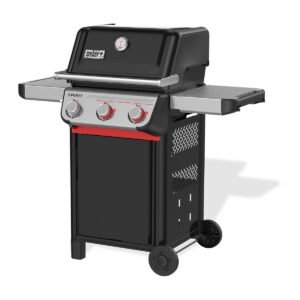 Spirit® E-325 - BARBACOA DE GAS – vista principal