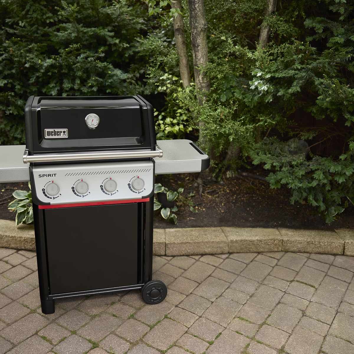 Spirit® E-410 - BARBACOA DE GAS – imagen 5