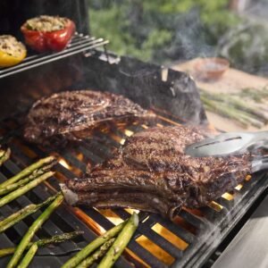 Spirit® EP-425 - BARBACOA DE GAS – vista principal