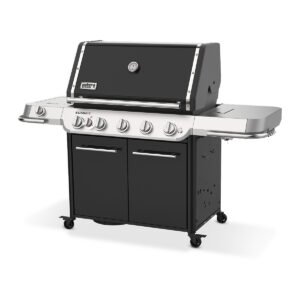 Summit FS38 E - BARBACOA DE GAS – vista principal