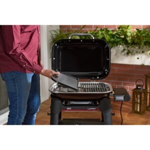 Plancha para Lumin Compact Weber - imagen principal
