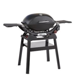 Soporte Para Serie Q1000N/Q2000N Weber - imagen principal